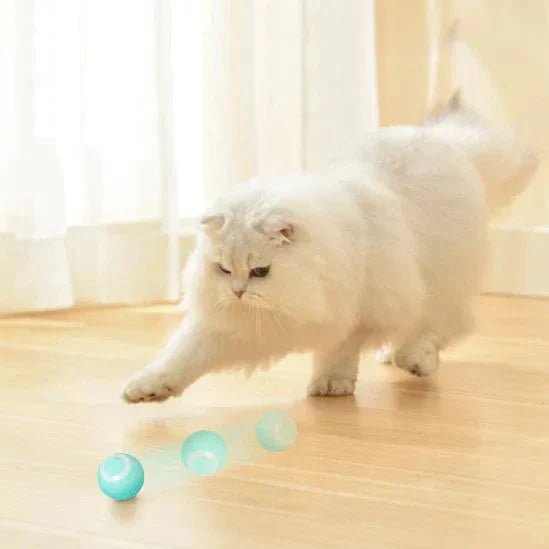 PowerBall Pelota Inteligente para Gatos - [PROMOCIÓN DISPONIBLE SOLO HOY]