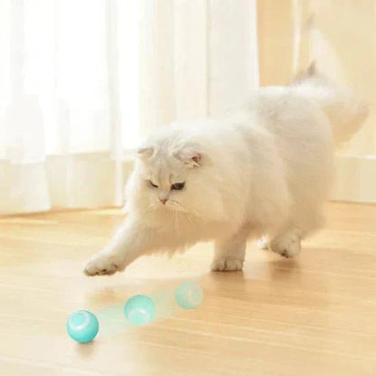 PowerBall Pelota Inteligente para Gatos - [PROMOCIÓN DISPONIBLE SOLO HOY]
