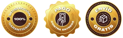 Entrenador FastFlex: Gimnasio en Casa - Imagen 20
