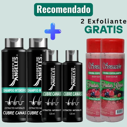 Shampoo Cubrecanas Secreto de Angeles - 3