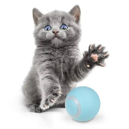 PowerBall Pelota Inteligente para Gatos - [PROMOCIÓN DISPONIBLE SOLO HOY]